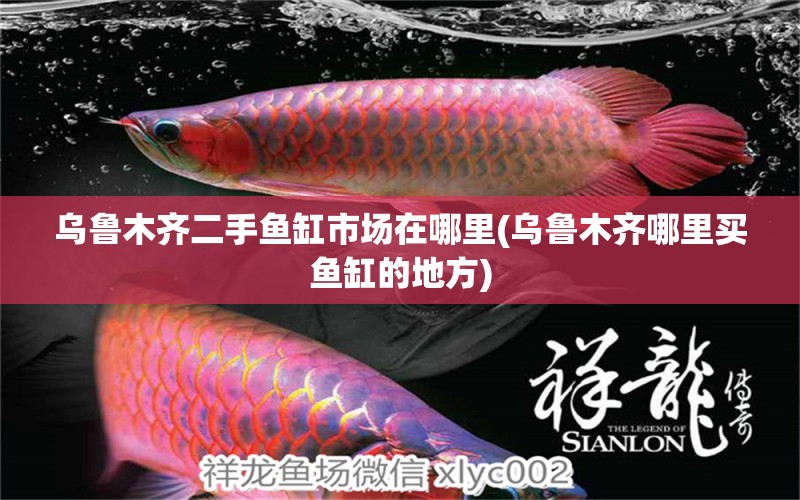 烏魯木齊二手魚缸市場(chǎng)在哪里(烏魯木齊哪里買魚缸的地方) 祥龍進(jìn)口元寶鳳凰魚