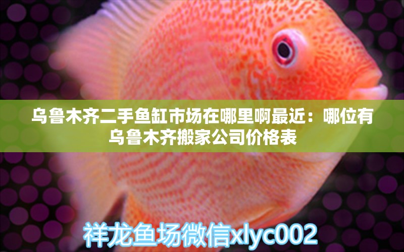 烏魯木齊二手魚缸市場在哪里啊最近：哪位有烏魯木齊搬家公司價格表