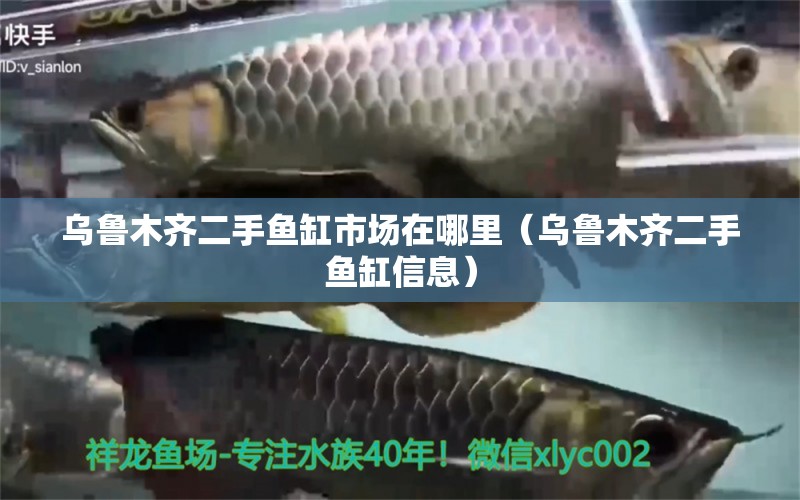 烏魯木齊二手魚缸市場在哪里（烏魯木齊二手魚缸信息） 廣州觀賞魚批發(fā)市場