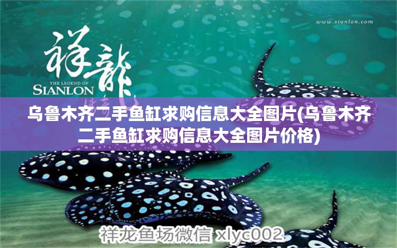 烏魯木齊二手魚缸求購信息大全圖片(烏魯木齊二手魚缸求購信息大全圖片價(jià)格) 非洲金鼓魚