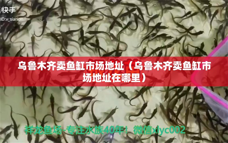 烏魯木齊賣魚缸市場地址（烏魯木齊賣魚缸市場地址在哪里） 觀賞魚市場（混養(yǎng)魚）