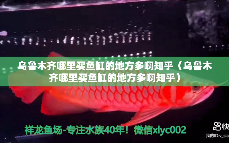 烏魯木齊哪里買魚缸的地方多啊知乎（烏魯木齊哪里買魚缸的地方多啊知乎）