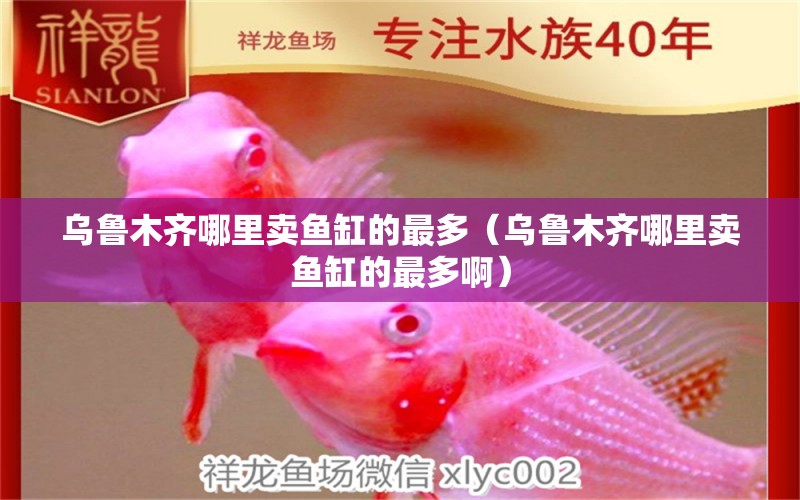 烏魯木齊哪里賣魚缸的最多（烏魯木齊哪里賣魚缸的最多?。?祥龍水族醫(yī)院