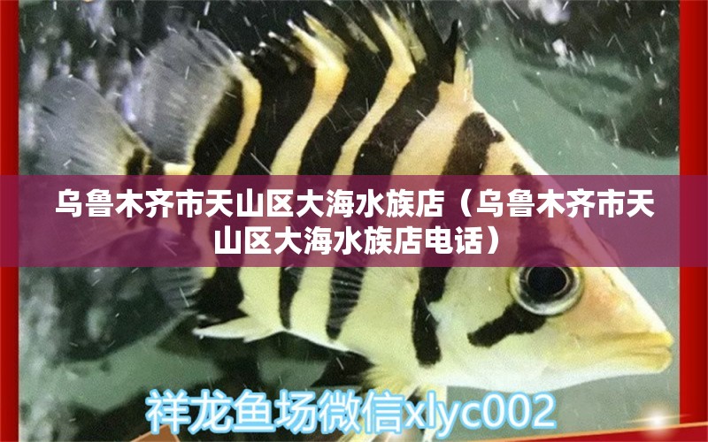 烏魯木齊市天山區(qū)大海水族店（烏魯木齊市天山區(qū)大海水族店電話） 全國水族館企業(yè)名錄