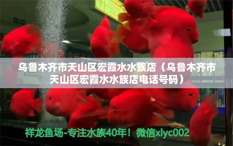 烏魯木齊市天山區(qū)宏霞水水族店（烏魯木齊市天山區(qū)宏霞水水族店電話號(hào)碼） 全國(guó)水族館企業(yè)名錄