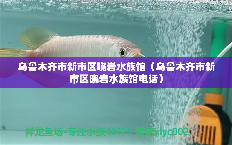 烏魯木齊市新市區(qū)曉巖水族館（烏魯木齊市新市區(qū)曉巖水族館電話） 全國水族館企業(yè)名錄