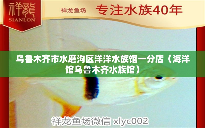 烏魯木齊市水磨溝區(qū)洋洋水族館一分店（海洋館烏魯木齊水族館） 全國(guó)水族館企業(yè)名錄