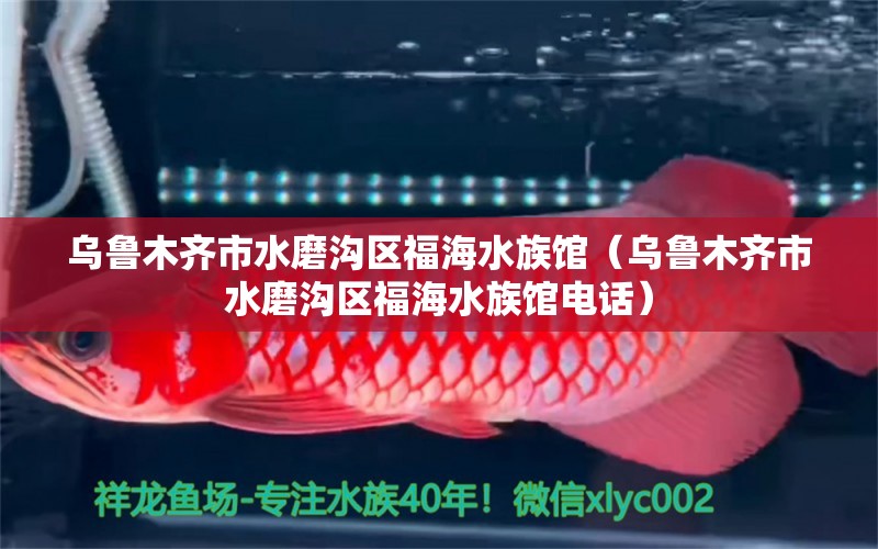 烏魯木齊市水磨溝區(qū)福海水族館（烏魯木齊市水磨溝區(qū)福海水族館電話）