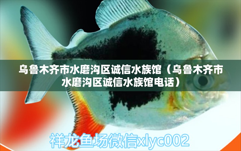 烏魯木齊市水磨溝區(qū)誠信水族館（烏魯木齊市水磨溝區(qū)誠信水族館電話）