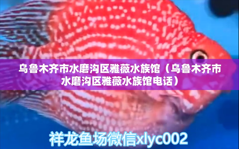 烏魯木齊市水磨溝區(qū)雅薇水族館（烏魯木齊市水磨溝區(qū)雅薇水族館電話）