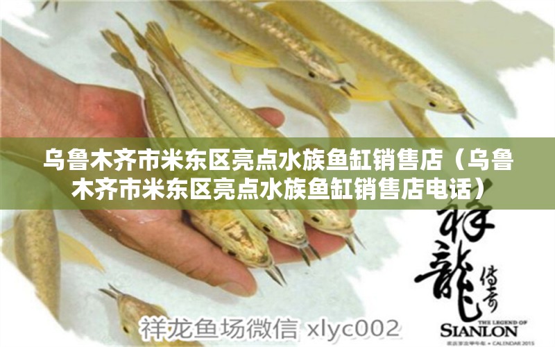 烏魯木齊市米東區(qū)亮點水族魚缸銷售店（烏魯木齊市米東區(qū)亮點水族魚缸銷售店電話） 全國水族館企業(yè)名錄