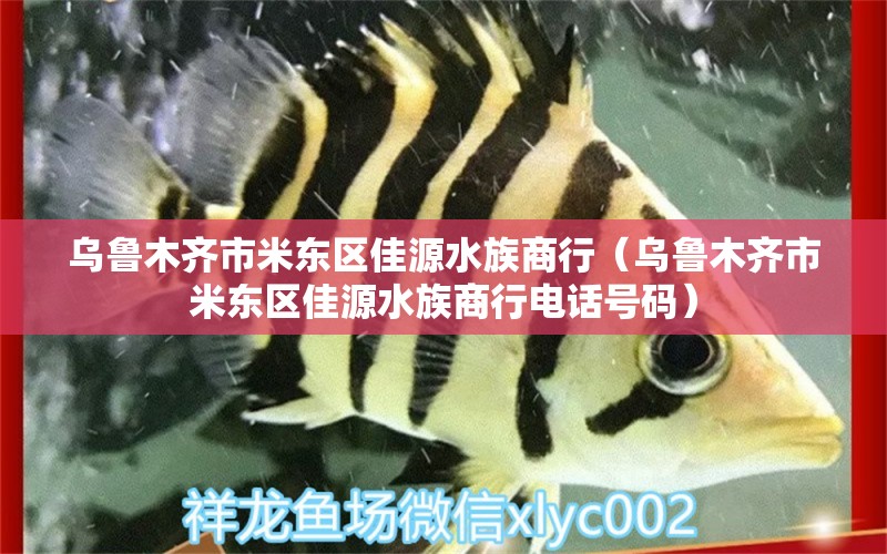 烏魯木齊市米東區(qū)佳源水族商行（烏魯木齊市米東區(qū)佳源水族商行電話號碼） 全國水族館企業(yè)名錄