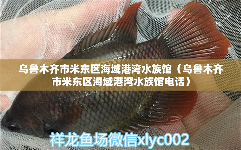 烏魯木齊市米東區(qū)海域港灣水族館（烏魯木齊市米東區(qū)海域港灣水族館電話） 全國水族館企業(yè)名錄