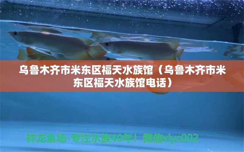 烏魯木齊市米東區(qū)福天水族館（烏魯木齊市米東區(qū)福天水族館電話）