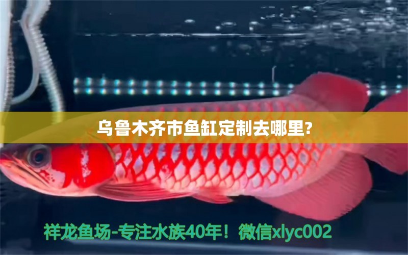 烏魯木齊市魚缸定制去哪里? 其他品牌魚缸