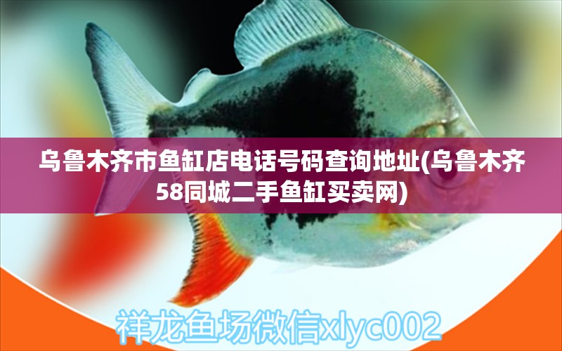 烏魯木齊市魚缸店電話號碼查詢地址(烏魯木齊58同城二手魚缸買賣網(wǎng)) 玫瑰銀版魚 第1張