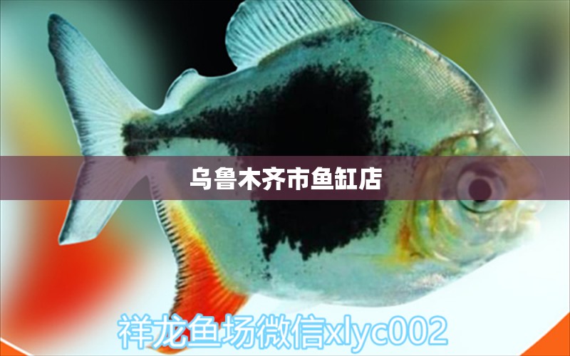 烏魯木齊市魚缸店 其他品牌魚缸