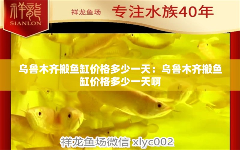 烏魯木齊搬魚(yú)缸價(jià)格多少一天：烏魯木齊搬魚(yú)缸價(jià)格多少一天啊