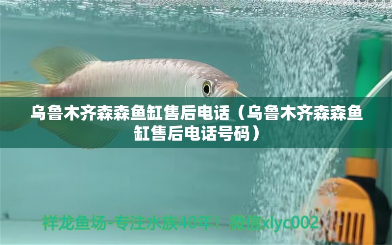 烏魯木齊森森魚(yú)缸售后電話（烏魯木齊森森魚(yú)缸售后電話號(hào)碼） 其他品牌魚(yú)缸