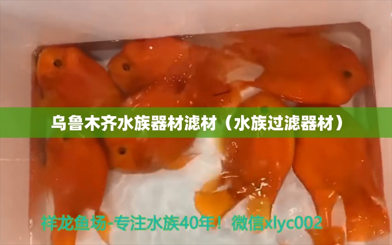 烏魯木齊水族器材濾材（水族過(guò)濾器材） 白寫(xiě)錦鯉魚(yú) 第1張