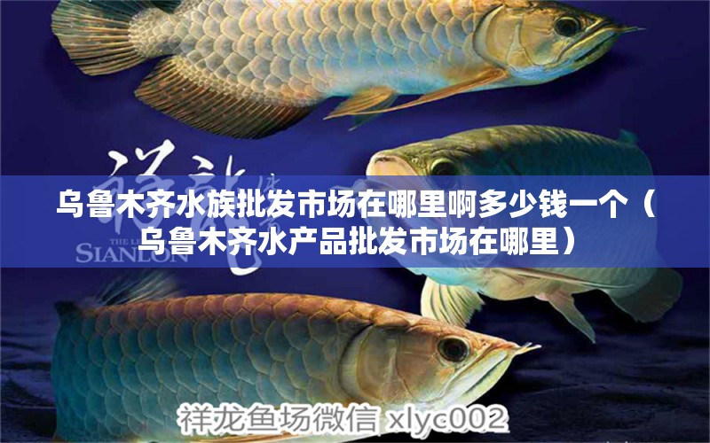 烏魯木齊水族批發(fā)市場在哪里啊多少錢一個（烏魯木齊水產(chǎn)品批發(fā)市場在哪里） 觀賞魚水族批發(fā)市場