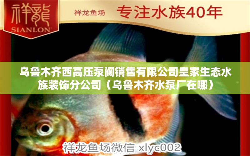 烏魯木齊西高壓泵閥銷售有限公司皇家生態(tài)水族裝飾分公司（烏魯木齊水泵廠在哪） 全國水族館企業(yè)名錄