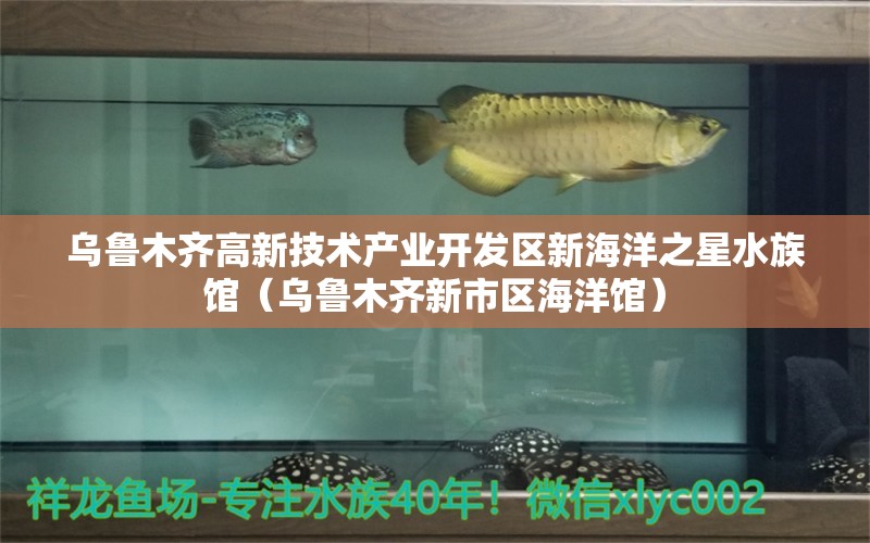 烏魯木齊高新技術(shù)產(chǎn)業(yè)開發(fā)區(qū)新海洋之星水族館（烏魯木齊新市區(qū)海洋館） 全國水族館企業(yè)名錄