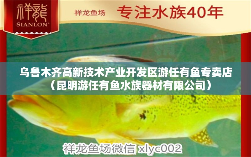 烏魯木齊高新技術(shù)產(chǎn)業(yè)開發(fā)區(qū)游任有魚專賣店（昆明游任有魚水族器材有限公司）