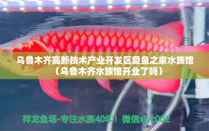 烏魯木齊高新技術(shù)產(chǎn)業(yè)開發(fā)區(qū)愛魚之家水族館（烏魯木齊水族館開業(yè)了嗎）