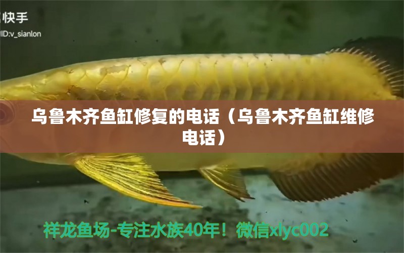 烏魯木齊魚缸修復(fù)的電話（烏魯木齊魚缸維修電話）