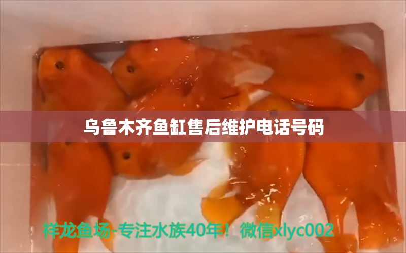 烏魯木齊魚缸售后維護(hù)電話號碼 其他品牌魚缸