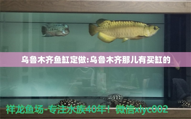 烏魯木齊魚(yú)缸定做:烏魯木齊那兒有買缸的