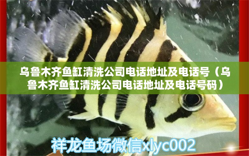 烏魯木齊魚缸清洗公司電話地址及電話號（烏魯木齊魚缸清洗公司電話地址及電話號碼）