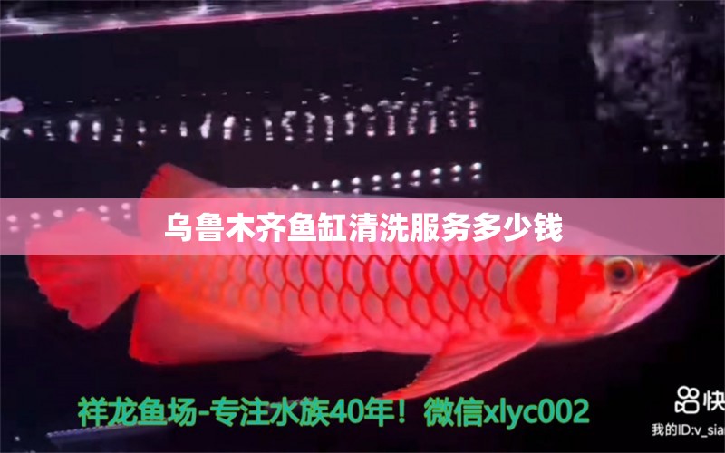 烏魯木齊魚缸清洗服務多少錢