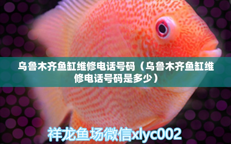 烏魯木齊魚缸維修電話號碼（烏魯木齊魚缸維修電話號碼是多少）