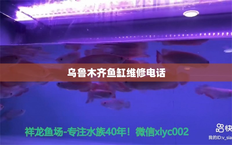 烏魯木齊魚(yú)缸維修電話