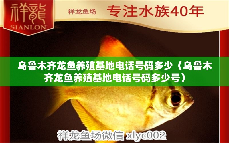 烏魯木齊龍魚養(yǎng)殖基地電話號碼多少（烏魯木齊龍魚養(yǎng)殖基地電話號碼多少號）