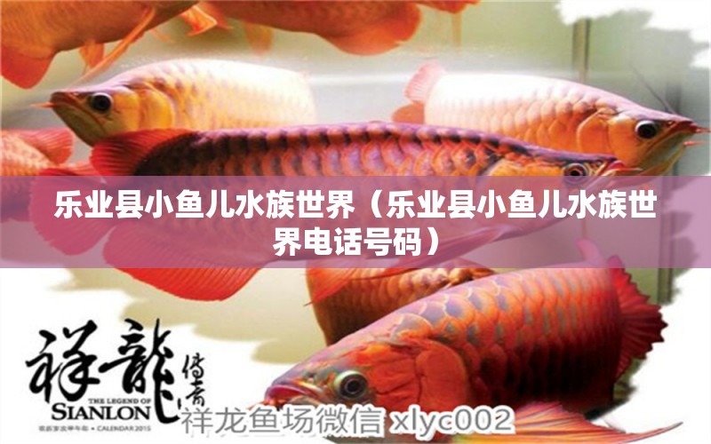 樂(lè)業(yè)縣小魚(yú)兒水族世界（樂(lè)業(yè)縣小魚(yú)兒水族世界電話號(hào)碼）