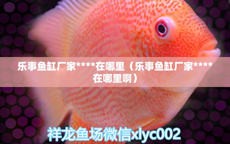 樂事魚缸廠家****在哪里（樂事魚缸廠家****在哪里?。?委內(nèi)瑞拉奧里諾三間魚苗