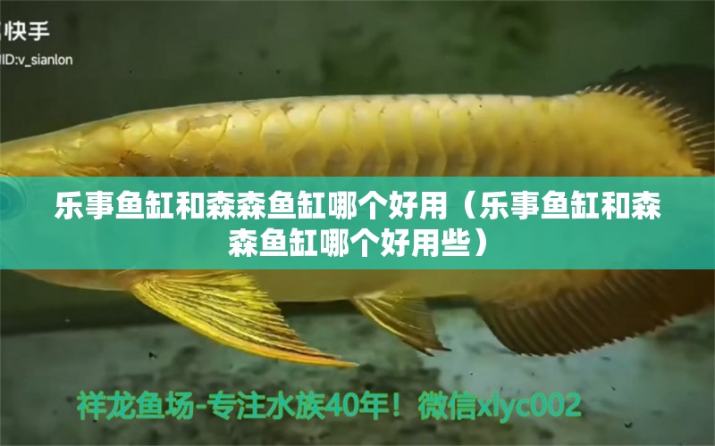 樂事魚缸和森森魚缸哪個(gè)好用（樂事魚缸和森森魚缸哪個(gè)好用些）