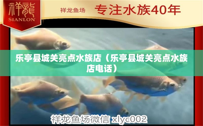 樂亭縣城關亮點水族店（樂亭縣城關亮點水族店電話）