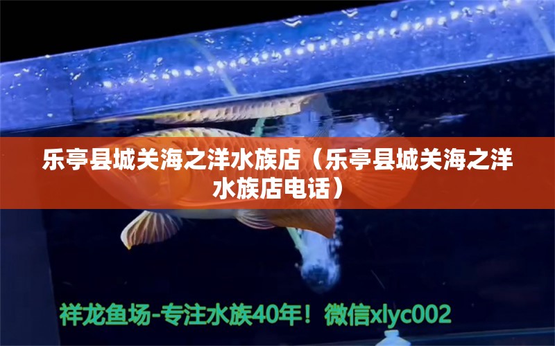 樂(lè)亭縣城關(guān)海之洋水族店（樂(lè)亭縣城關(guān)海之洋水族店電話）