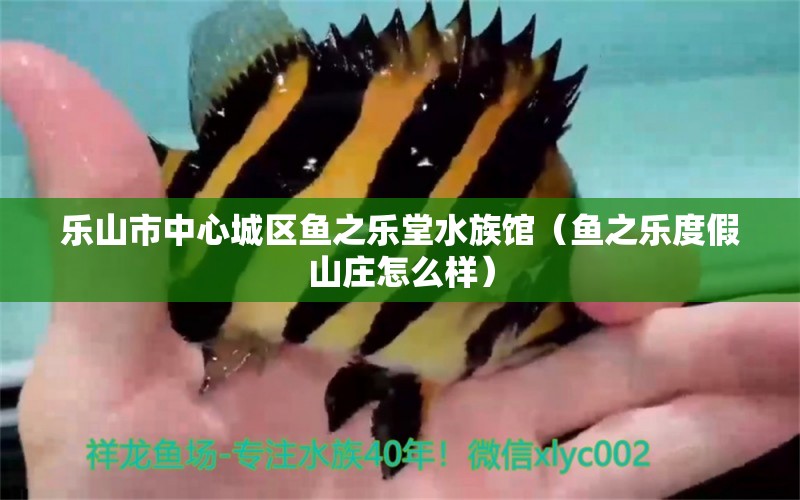 樂山市中心城區(qū)魚之樂堂水族館（魚之樂度假山莊怎么樣）