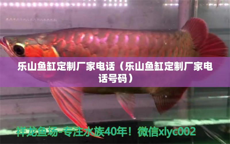 樂山魚缸定制廠家電話（樂山魚缸定制廠家電話號碼）