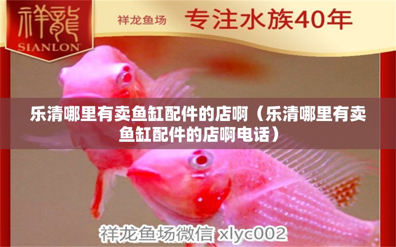 樂清哪里有賣魚缸配件的店啊（樂清哪里有賣魚缸配件的店啊電話）