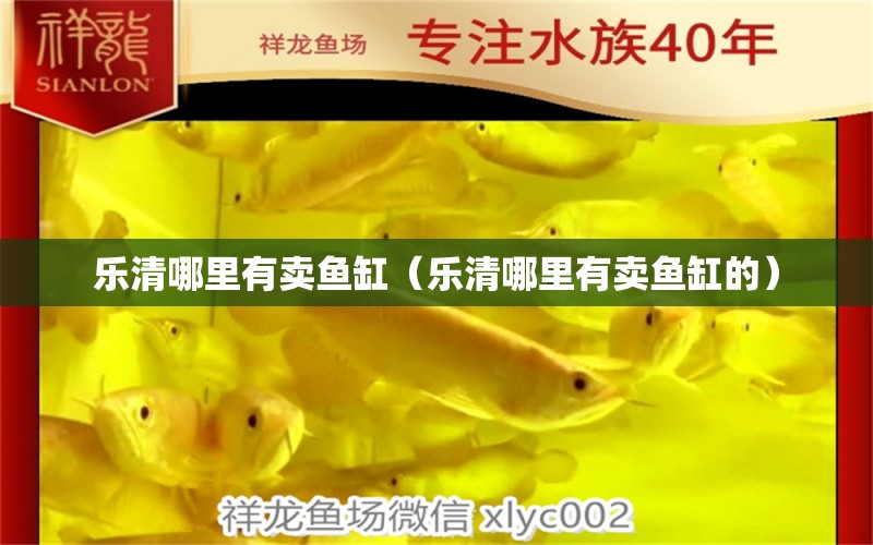 樂(lè)清哪里有賣(mài)魚(yú)缸（樂(lè)清哪里有賣(mài)魚(yú)缸的） 祥龍水族醫(yī)院