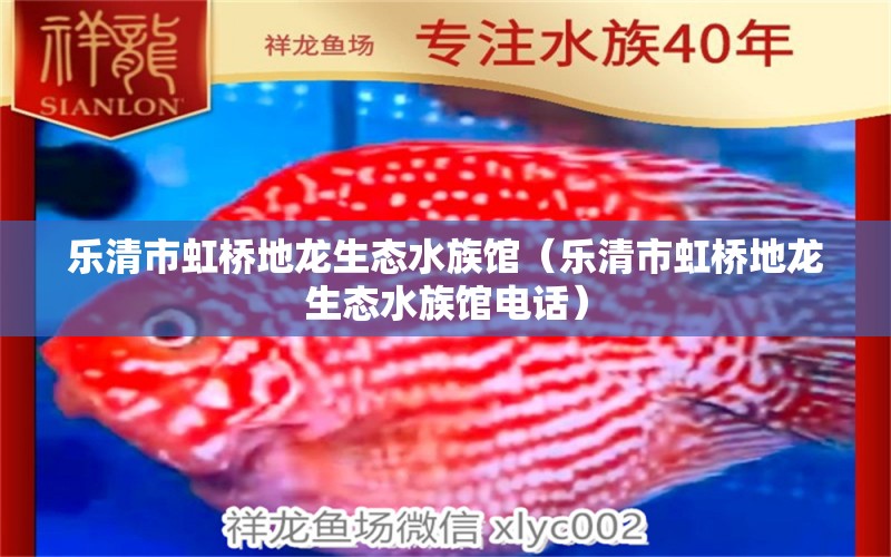 樂清市虹橋地龍生態(tài)水族館（樂清市虹橋地龍生態(tài)水族館電話）