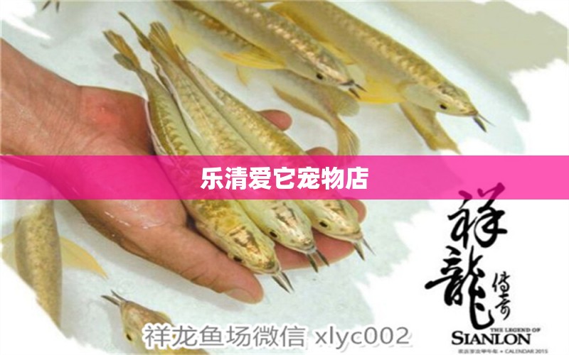 樂(lè)清愛(ài)它寵物店 全國(guó)水族館企業(yè)名錄