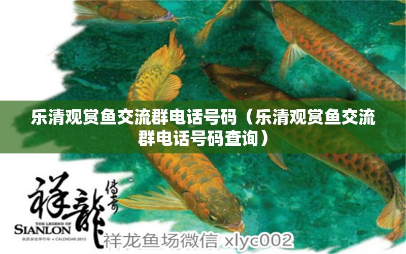 樂清觀賞魚交流群電話號碼（樂清觀賞魚交流群電話號碼查詢）