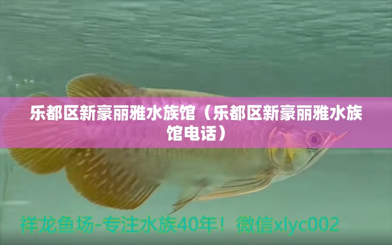 樂都區(qū)新豪麗雅水族館（樂都區(qū)新豪麗雅水族館電話）